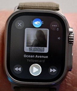 Apple Watch blue icon
