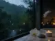 Best Rain Sounds and Spa Playlists on Apple Music: A Curated Guide to Ambient Listening